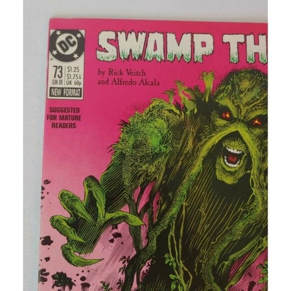 DC Comics Swamp Thing Issues #73 and #74 1988 New Format By Rick Veitch - Picture 6 of 10